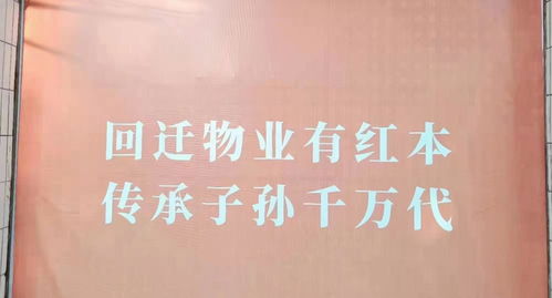 深圳遍地“咚咚咚” 挖掘機聲為何成了“新特產”？